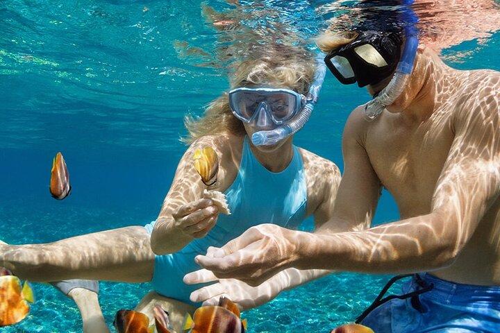 Koh Larn Trip from Pattaya with Snorkeling Jetski Parasailing