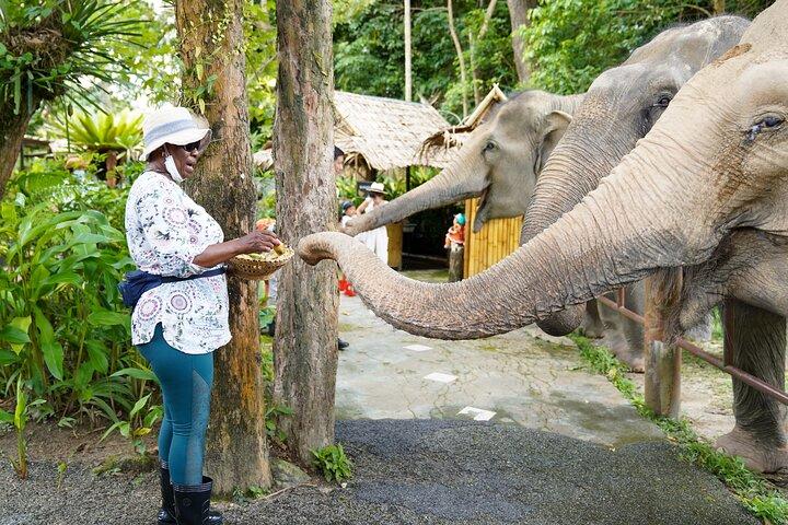 Feed Me Banana Elephant Experience Short Activity