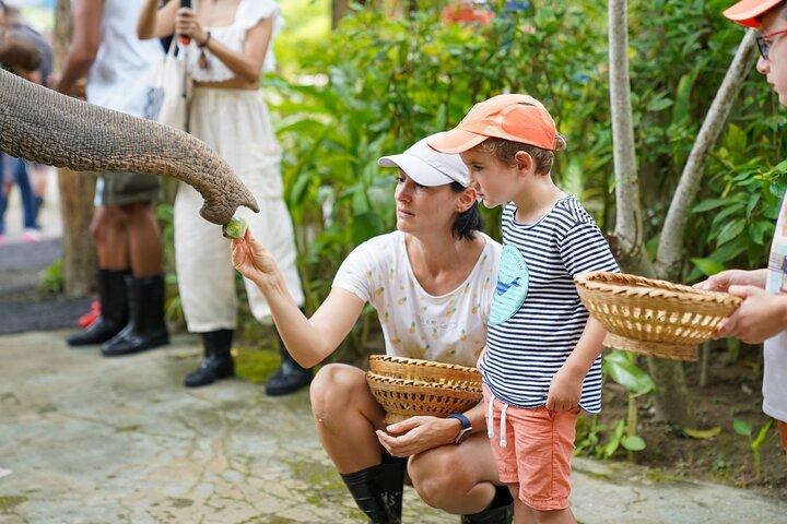 Feed Me Banana Elephant Experience Short Activity