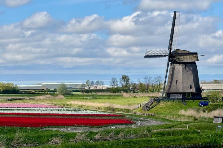 Private Tours to Zaanse Schans, windmill house, Volendam, Marken