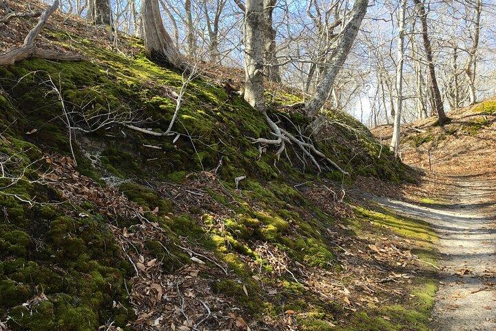 National Seashore Tour with Guided Hike