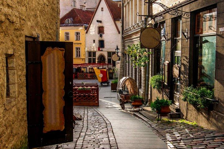 Guided Old Town Tallinn Historical Walking Tour