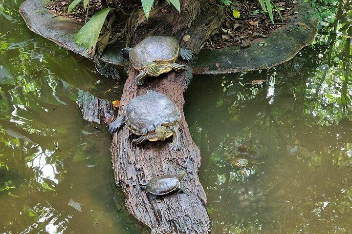 A full day at the Jaguar Rescue Center with Cahuita National Park