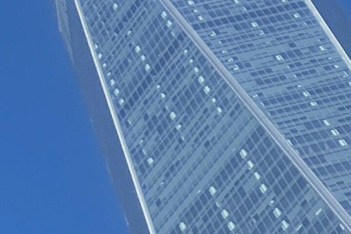 Lower Manhattan revealed