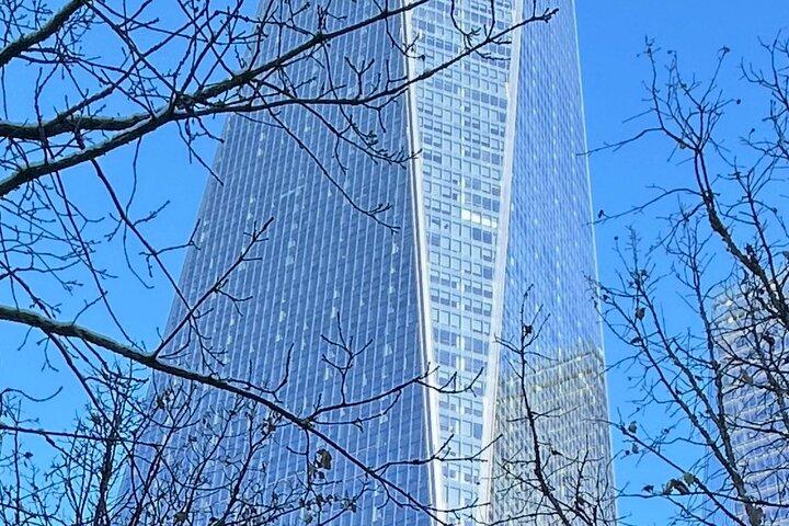 Lower Manhattan revealed