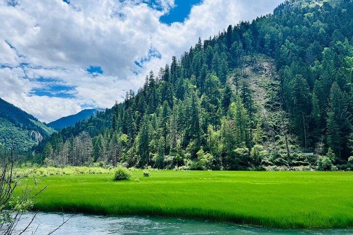 Explore Jiuzhaigou Private Day Tour via HSR from Chengdu