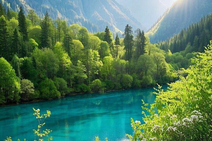 Explore Jiuzhaigou Private Day Tour via HSR from Chengdu