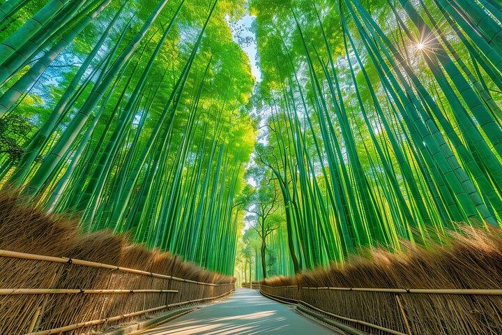 Osaka / Kyoto: Katsuoji, Arashiyama & Kinkaku-ji One Day Tour