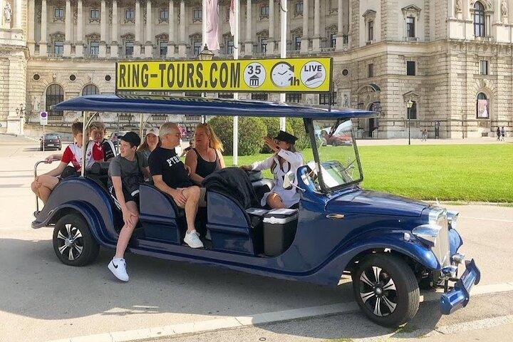 Panoramic Vienna City Tour Passing by the Most Famous Landmarks