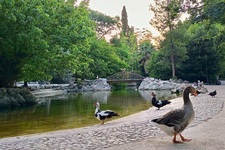 Sunrise Pilates & Calisthenics at National Garden