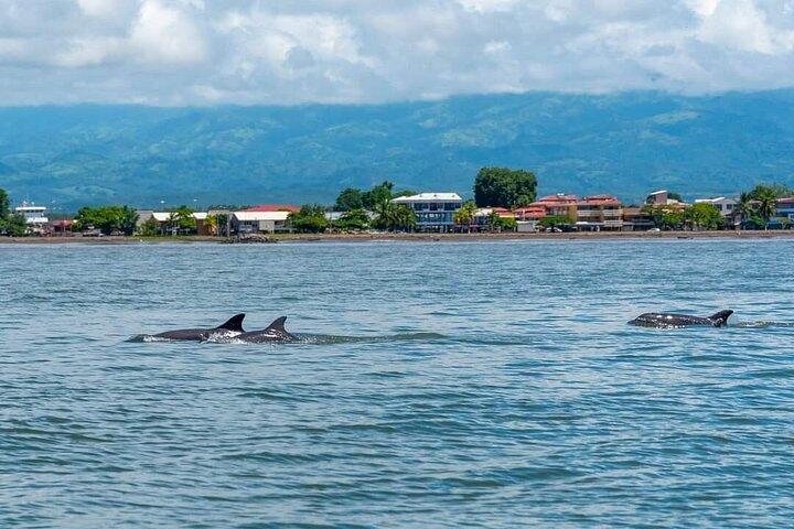 Turtle Island, from Puntarenas, snorkeling and lunch included!
