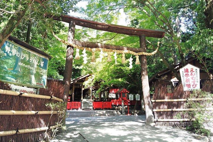 Kyoto: Arashiyama Bamboo Grove Before the Crowds