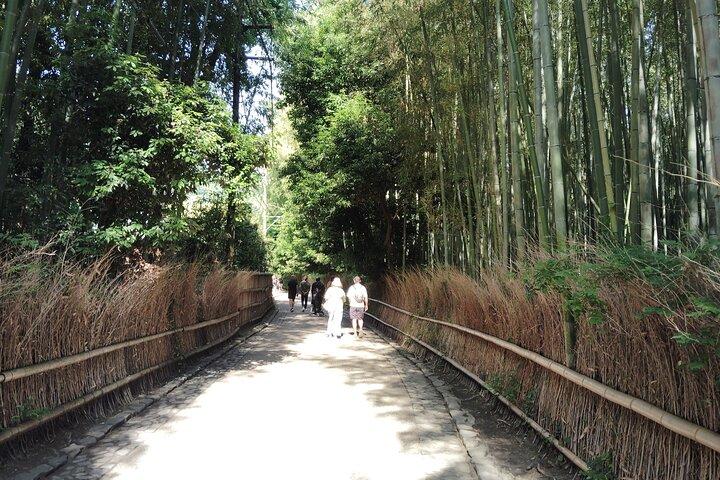 Kyoto: Serene Morning Walk in Arashiyama Bamboo Grove