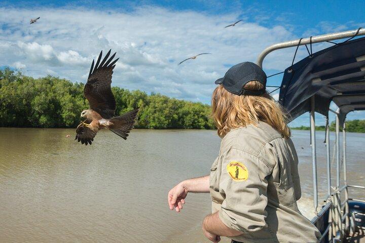 Spectacular Jumping Crocodile Cruise with Darwin Transfer Bus