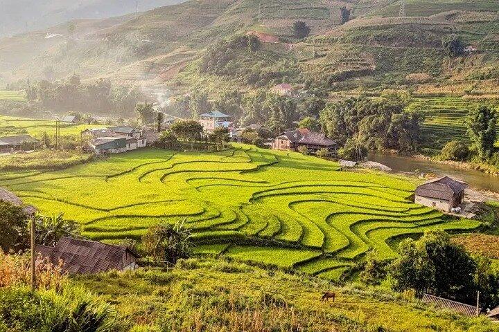 A Day Trekking in Sapa