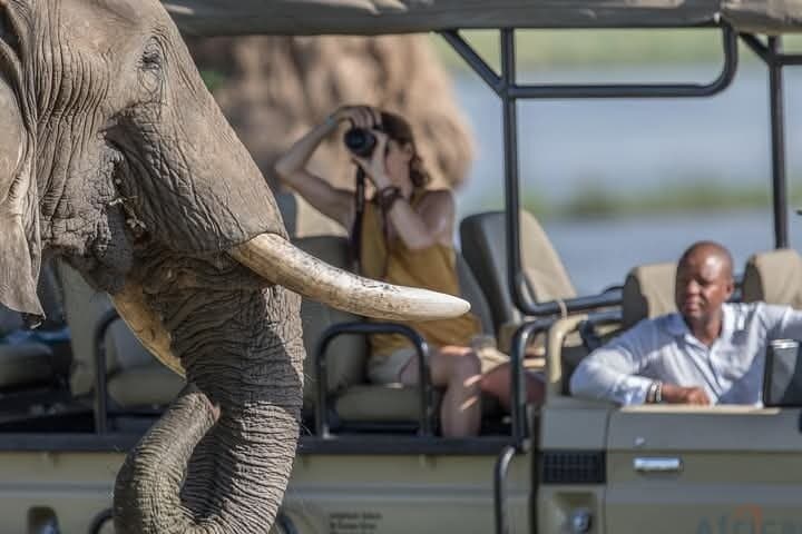 6 Days Amboseli, Naivasha and Masai Mara Safari Experience