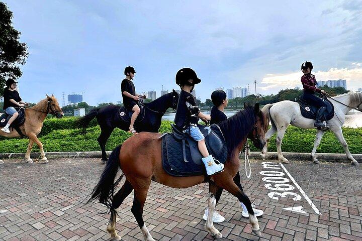 Hanoi Horseback Riding Tours - Exclusive Experience