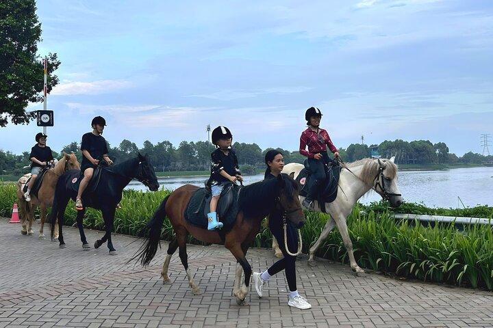 Hanoi Horseback Riding Tours - Exclusive Experience