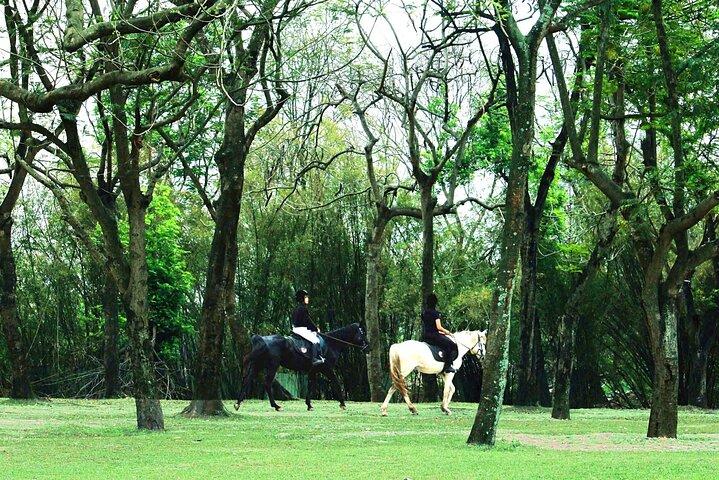 Hanoi Horseback Riding Tours - Exclusive Experience