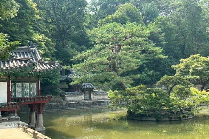 Walking Tour to Changdeokgung Palace with Korean dress Hanbok