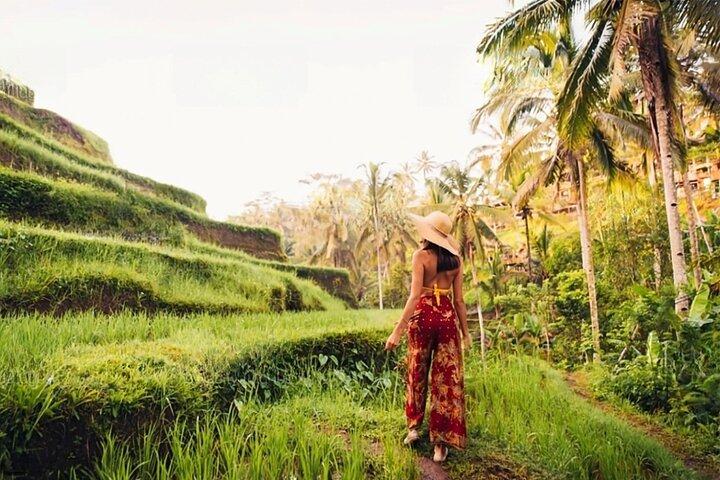 Half Day Tour Ubud Rice Terrace with Activities and Waterfall