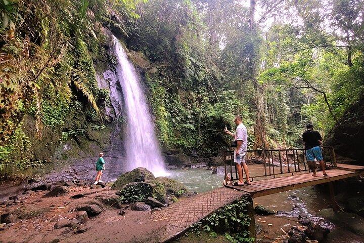 Half Day Tour Ubud Rice Terrace with Activities and Waterfall