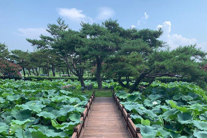 Day trip from Seoul to Gangneung: East Coast Bliss