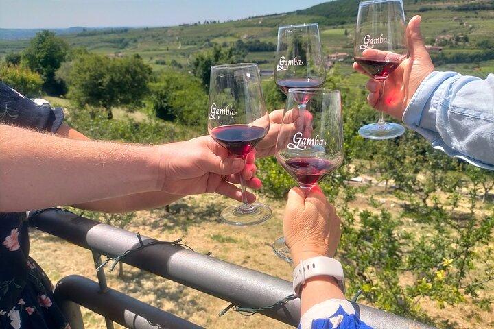 Amarone & Soave Wine Tour - Visit Verona, from Venice, Treviso