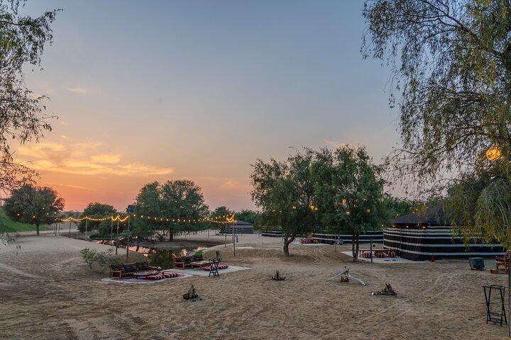 Dubai: Night Desert safari with Camel Ride & Stargazing