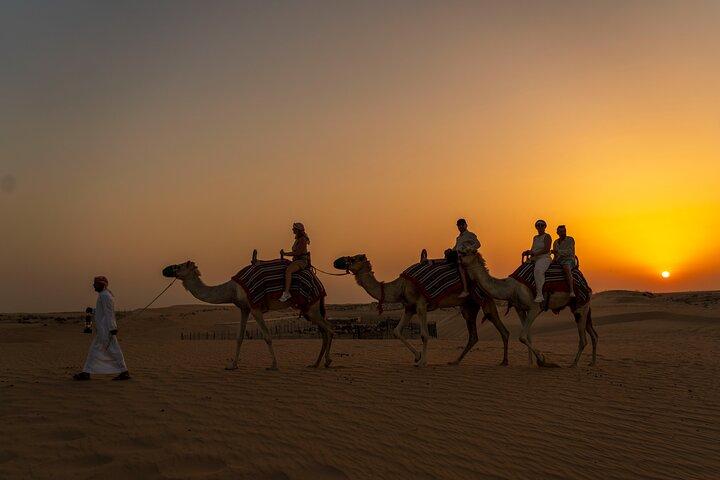 Dubai: Night Desert safari with Camel Ride & Stargazing