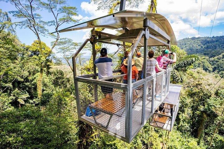 Veragua Rainforest Eco-Adventure + Aerial Tram + Tortuguero Canal