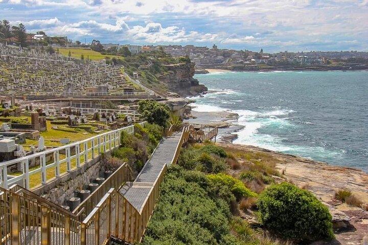 Bondi to Coogee Guided Coastal Walk with Lunch