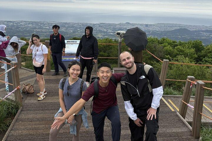 Small Group Tour in South Jeju Healing Island w/Mt. Halla & Falls
