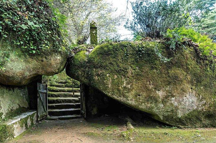 The Other Side of Sintra - Forgotten Woods