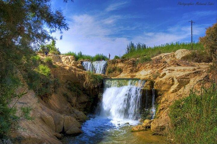 Desert Adventure from Cairo to Fayoum Oasis and Wadi El Rayan