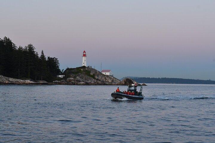 Vancouver's Intimate West Coast Whale Watching Experience
