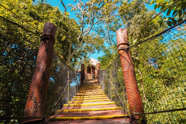 Private Jungle Adventure tour: Zipline + Rappel + Cenote