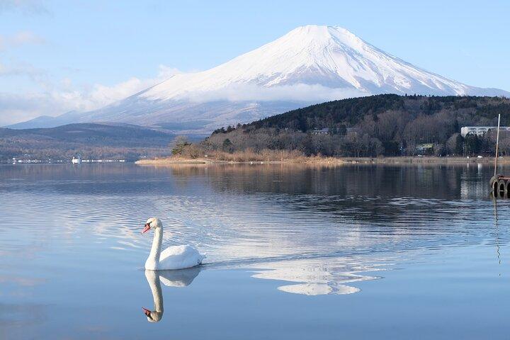 Mt. Fuji Signature 6 Scenic Spots One Day Tour from Tokyo
