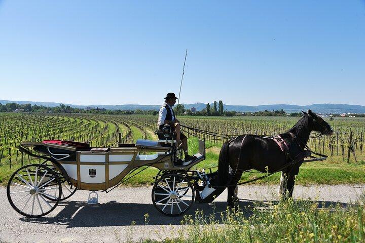 Sparkling carriage ride through Krems and the Wachau vineyards