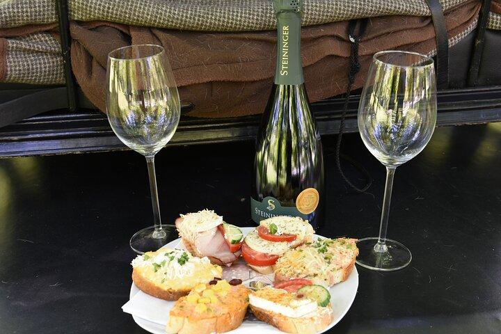Sparkling carriage ride through Krems and the Wachau vineyards
