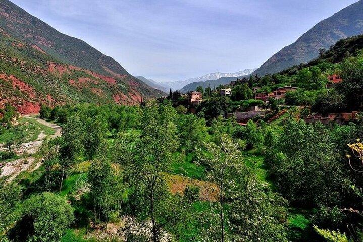 Marrakech:ourika valley with lunch and guided hike to waterfalls
