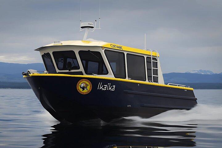 Campbell River, BC: 6 Hour Whale Watching Tour w/ Lunch Included