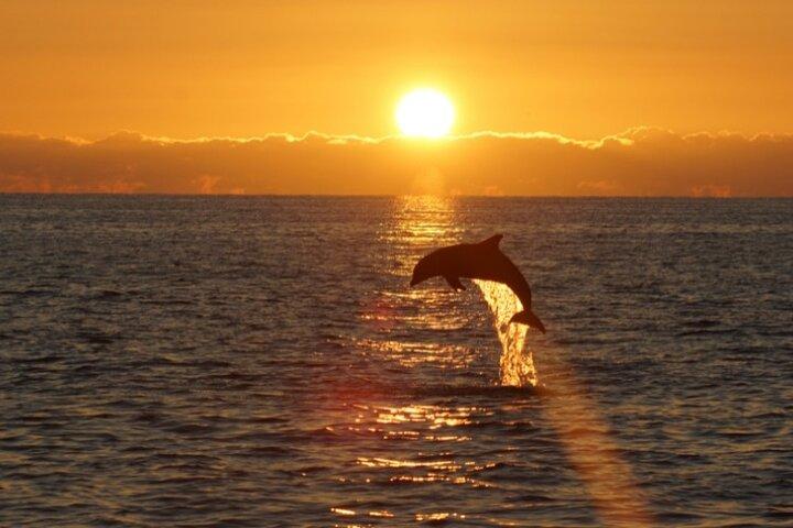 Sandestin Sunset Eco-Dolphin Cruise Aboard Sol y Luna