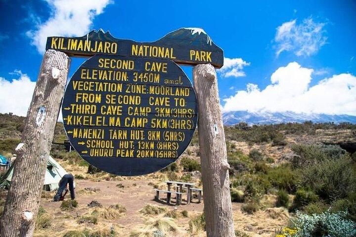 8 Days Mount Kilimanjaro Lemosho Route