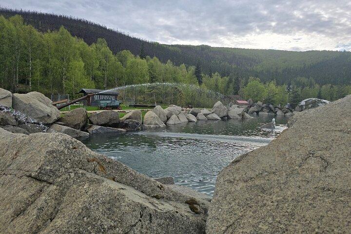 Midnight Sun Magic Chena Hot Springs Soak and Ice Museum Tour