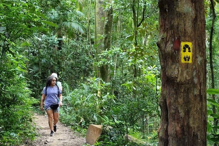 Hiking to Christ the Redeemer A Journey to Rio's Iconic Landmark