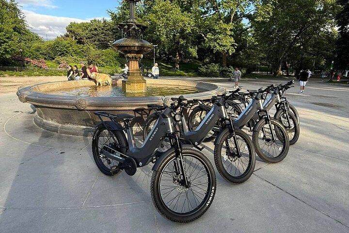 Guided Electric Bike Tour of Central Park in New York City