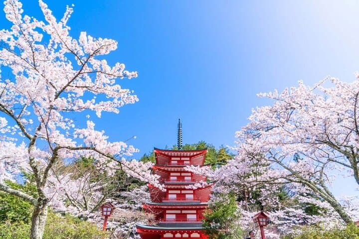 Mt. Fuji 5th, Oshino Hakkai, Onsen Full-Day Trip From Tokyo