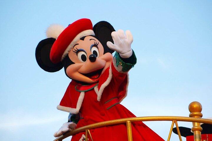Private Tokyo Disneyland/DisneySea Tour with Car Transportation