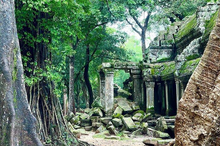 Angkor Wat Temples Private Day Tour from Siem Reap